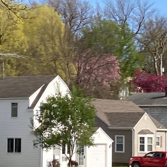 Meet your Posher, Mary - Picture 3 of 3